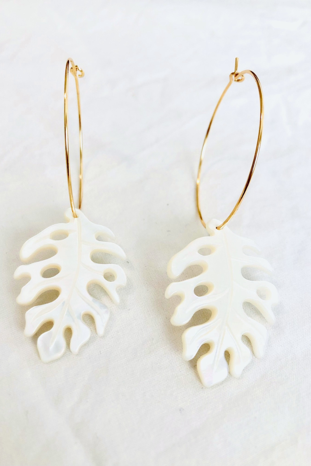 Mother of Pearl Monstera Medium