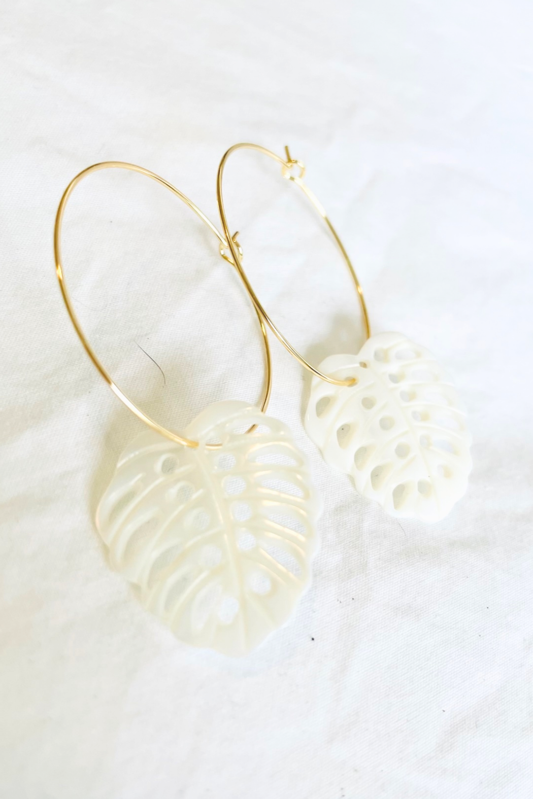 Mother of Pearl Monstera Medium