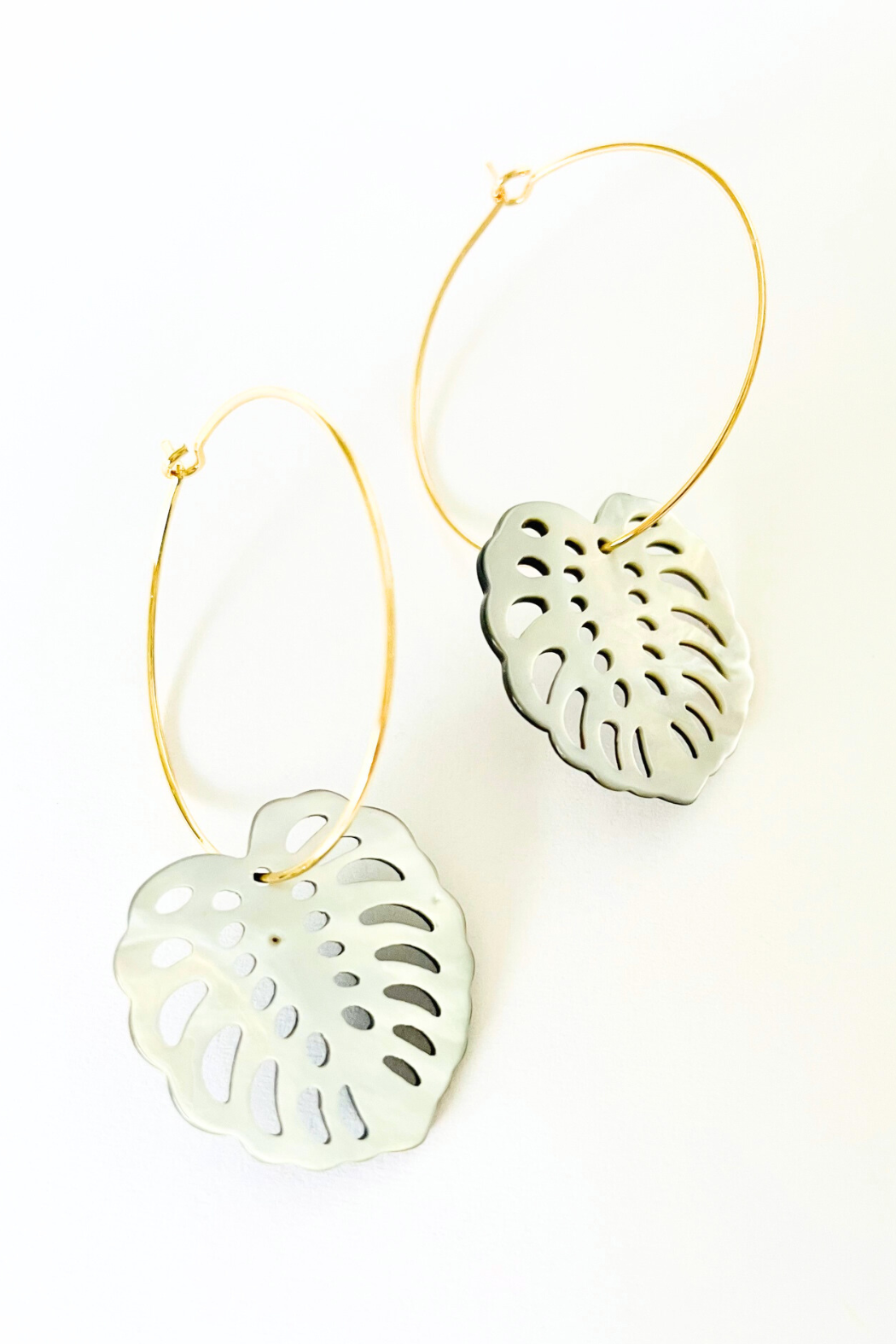 Mother of Pearl Monstera Medium