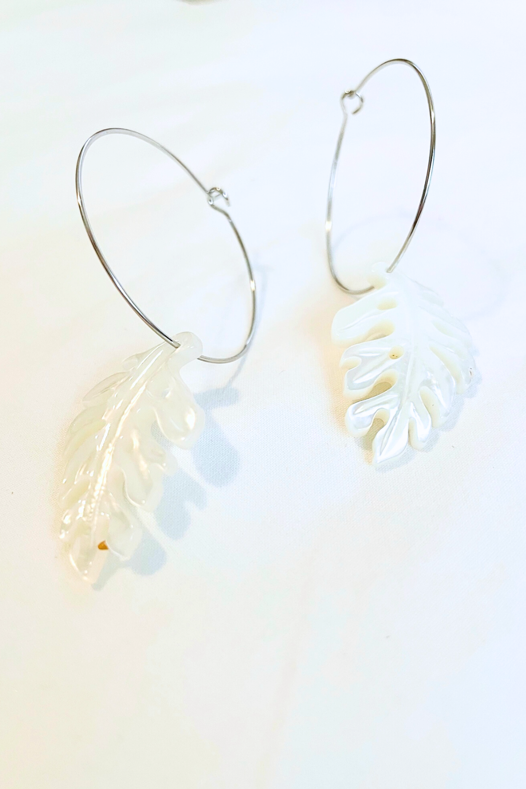 Mother of Pearl Monstera Medium