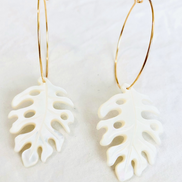 Mother of Pearl Monstera Medium