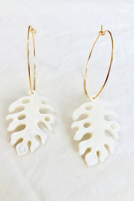 Mother of Pearl Monstera Medium
