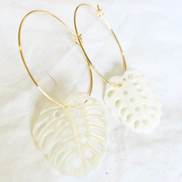 Mother of Pearl Monstera Medium