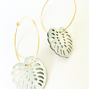 Mother of Pearl Monstera Medium