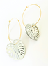 Mother of Pearl Monstera Medium