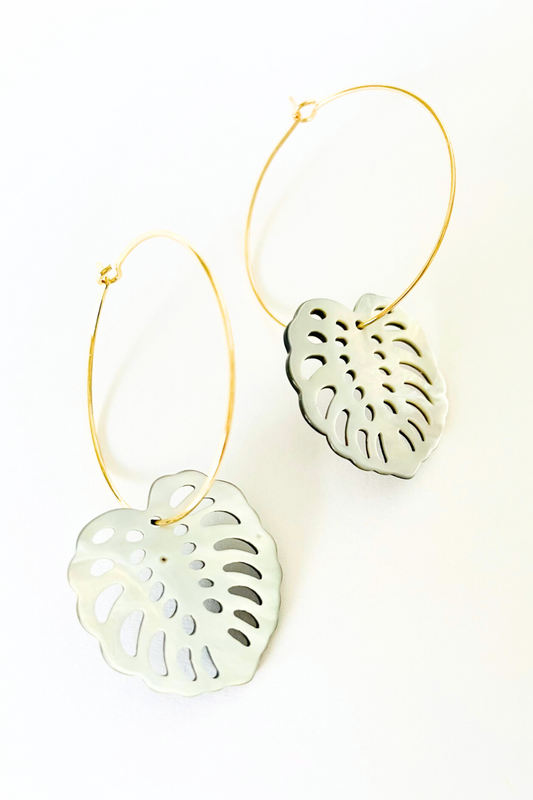 Mother of Pearl Monstera Medium