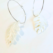 Mother of Pearl Monstera Medium