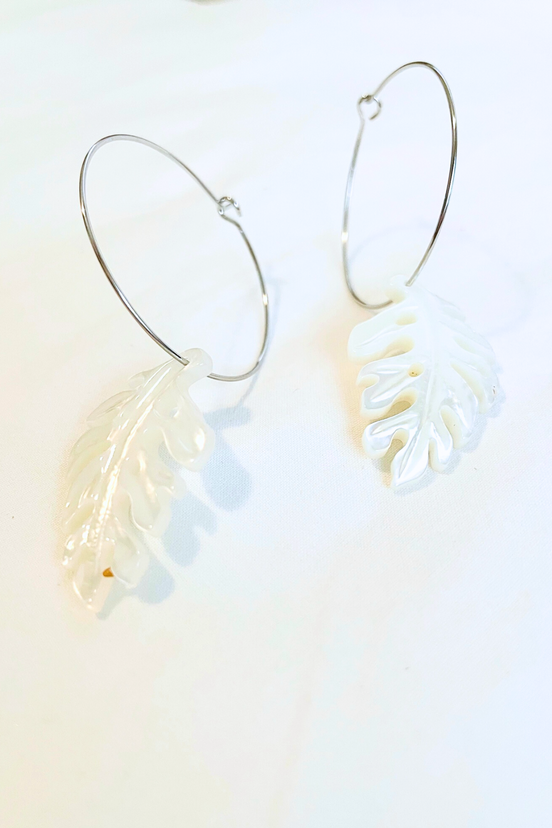 Mother of Pearl Monstera Medium